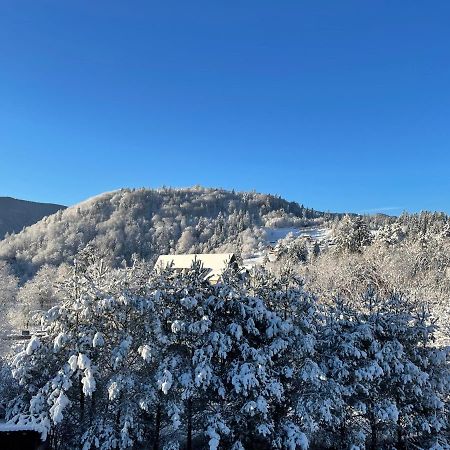 Panska Hata Γιαρέμτσε Εξωτερικό φωτογραφία